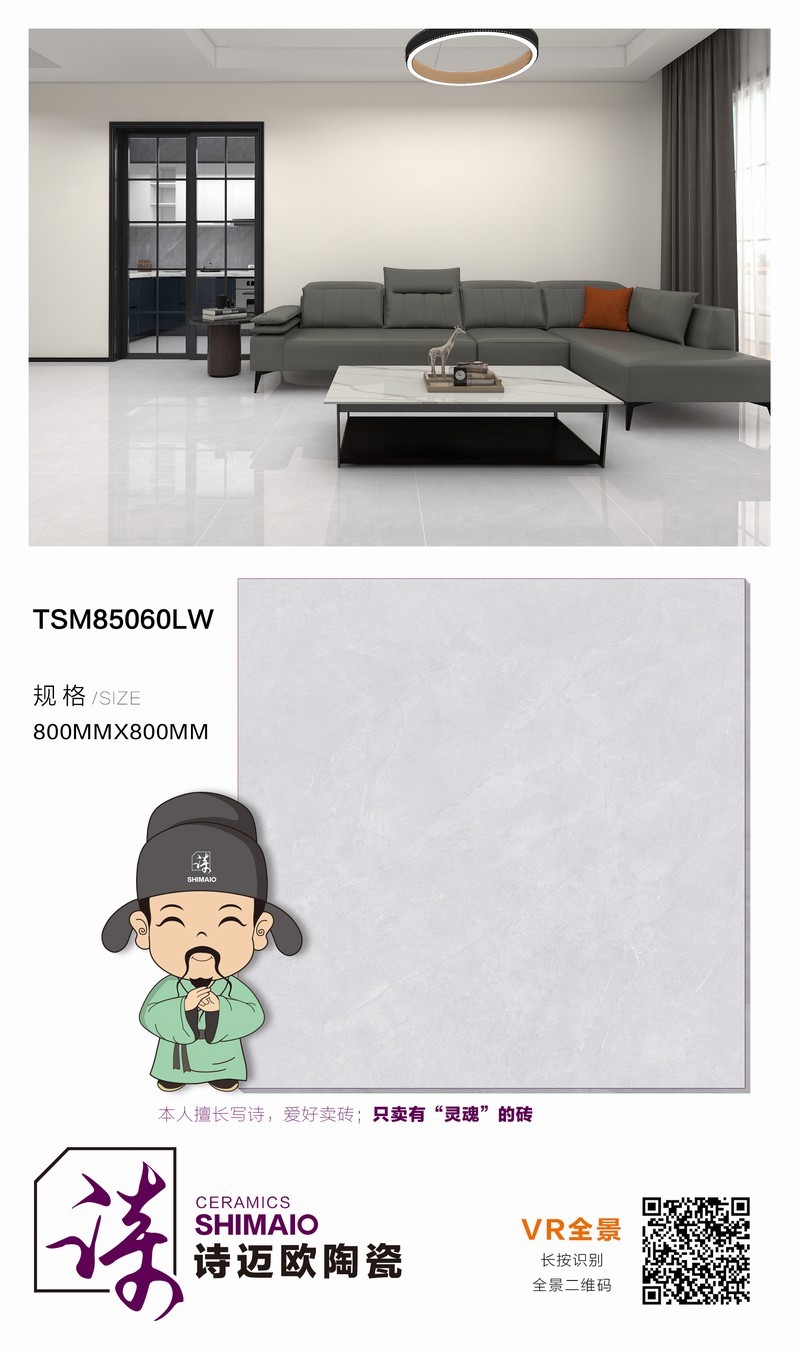 TSM85060LW.jpg